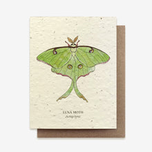 Chargez l’image dans le spectateur de la Galerie, Cartes de voeux pour animaux et insectes - Papier de semences plantables (13 variantes)