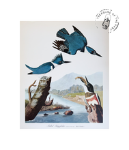 Chargez l’image dans le spectateur de la Galerie, Original Bird Print 1964 (29 birds)