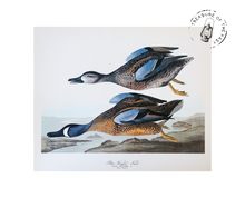 Chargez l’image dans le spectateur de la Galerie, Original Bird Print 1964 (29 birds)