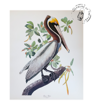 Chargez l’image dans le spectateur de la Galerie, Original Bird Print 1964 (29 birds)