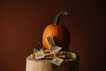 Load image into Gallery viewer, Smudge Bundle