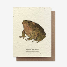 Chargez l’image dans le spectateur de la Galerie, Cartes de voeux pour animaux et insectes - Papier de semences plantables (13 variantes)