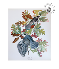 Chargez l’image dans le spectateur de la Galerie, Original Bird Print 1964 (29 birds)
